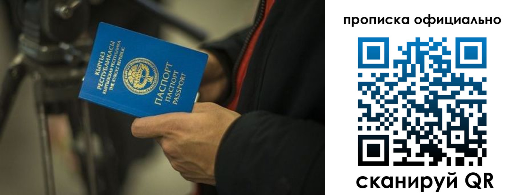 прописка в Жирновске